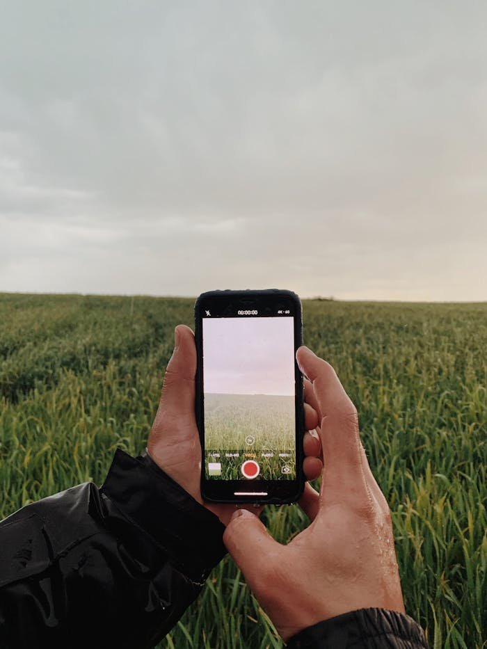 Hands holding a smartphone to photograph a vast green field in a rural setting during the day.