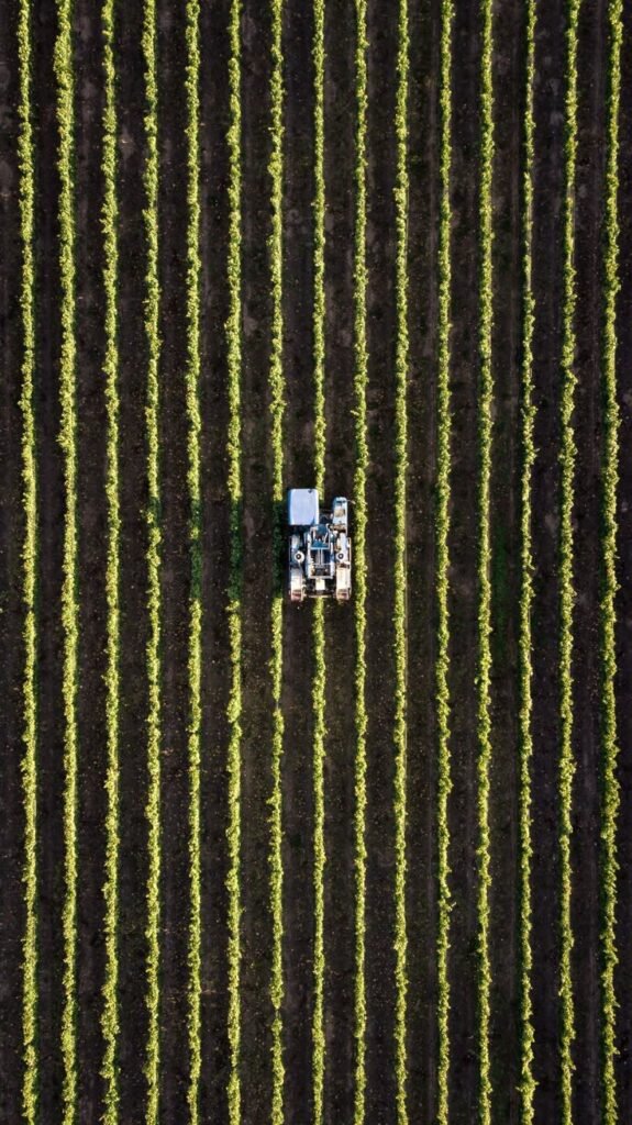 cropping pattern